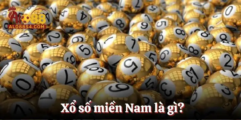 Hình thức giải trí ăn khách tại nhà cái