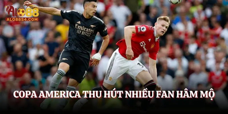 Copa America thu hút nhiều fan hâm mộ