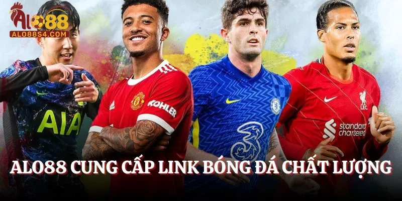 Giải bóng được Alo88 cung cấp link trực tiếp