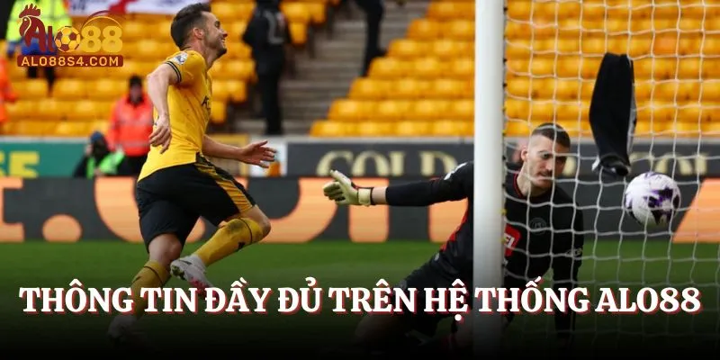 Thông tin đầy đủ trên hệ thống Alo88
