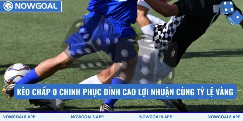 Kèo chấp 0 chinh phục đỉnh cao lợi nhuận cùng tỷ lệ vàng